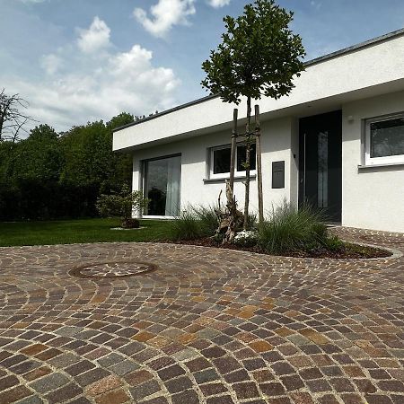 Moderne Ferienwohnung Rhenum mit Wallbox Waldshut-Tiengen Exterior foto
