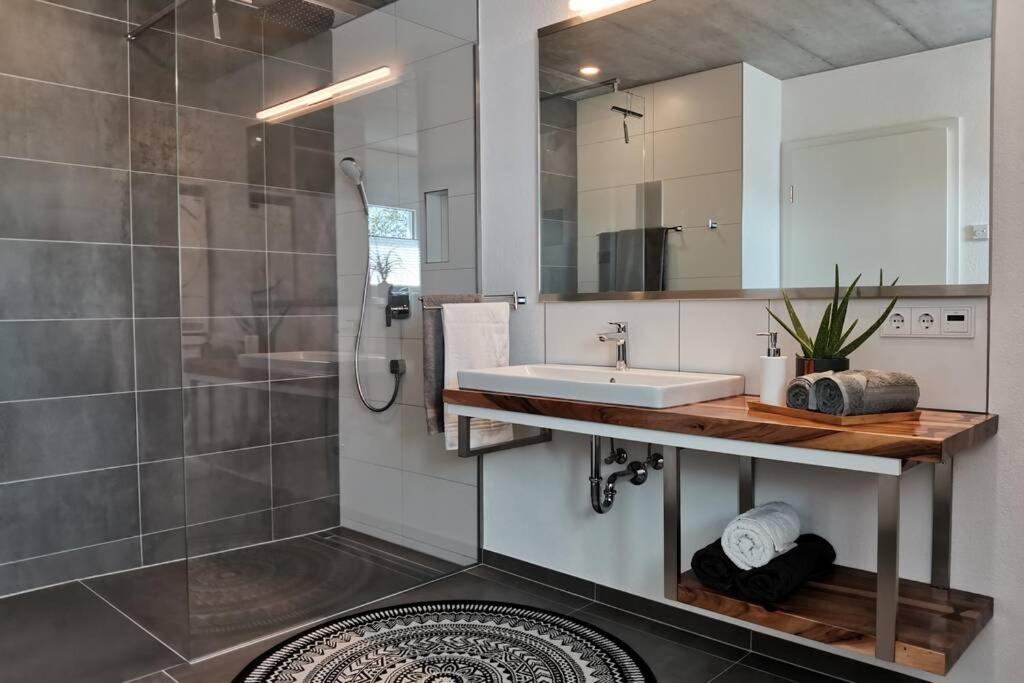 Moderne Ferienwohnung Rhenum mit Wallbox Waldshut-Tiengen Exterior foto