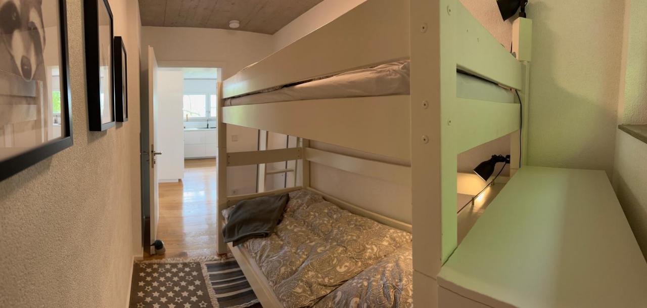 Moderne Ferienwohnung Rhenum mit Wallbox Waldshut-Tiengen Exterior foto