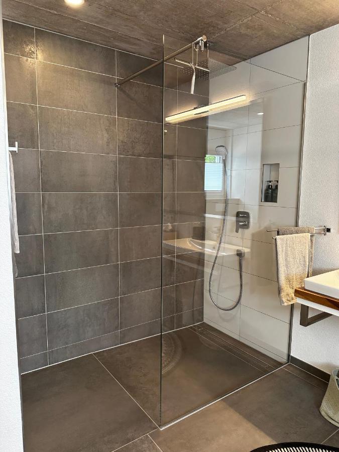 Moderne Ferienwohnung Rhenum mit Wallbox Waldshut-Tiengen Exterior foto